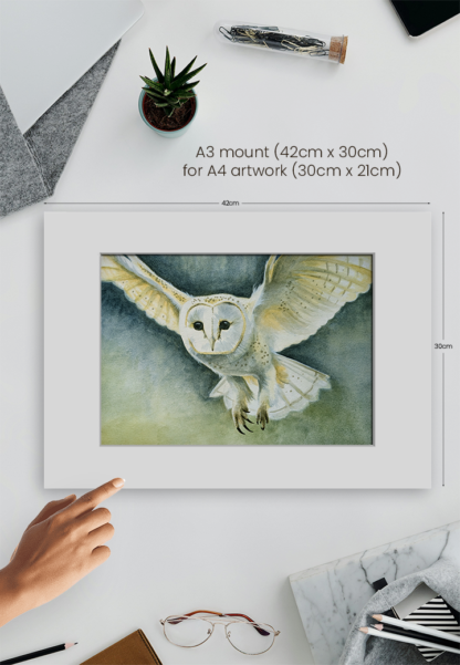 FLIGHT - Image 4