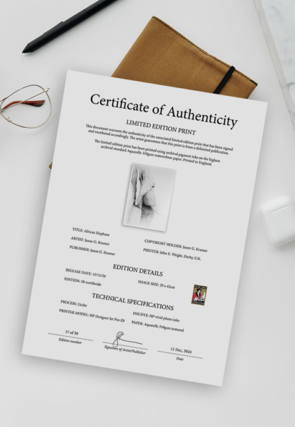 certificate of authenticity sample