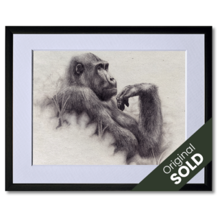 graphite drawing of mountain gorilla