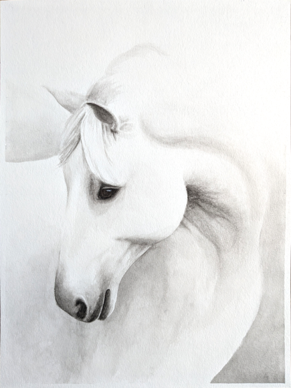 MAJESTY - Image 2
