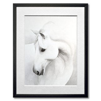 graphite drawing of white horse