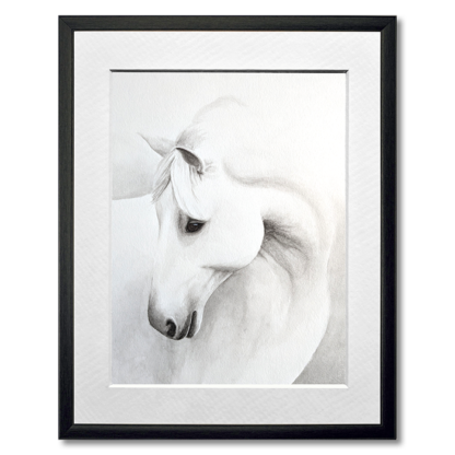 graphite drawing of white horse