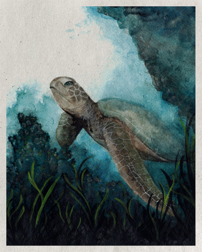 BLUE REEF - Image 2