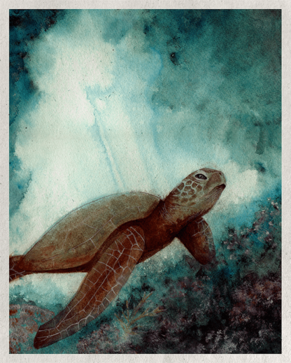 MORNING SWIM - Image 2