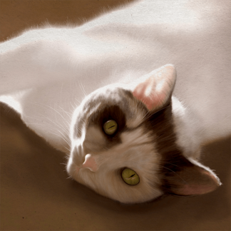 PET PORTRAITS