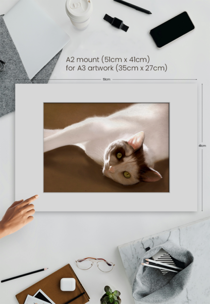 VALIENTE - Image 3