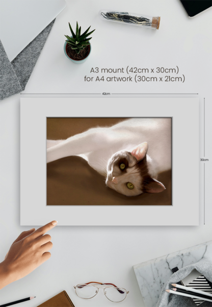 VALIENTE - Image 4
