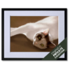 digital painting of domestic shorthair cat