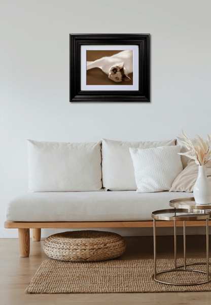 VALIENTE - Image 7