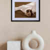 VALIENTE - Image 6