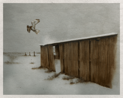 WINTER FLIGHT - Image 2