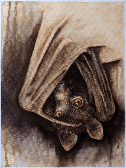 watercolor painting of flying fox