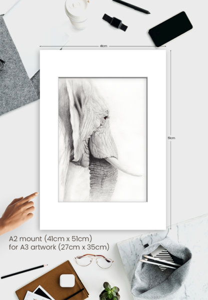 WISDOM - Image 3