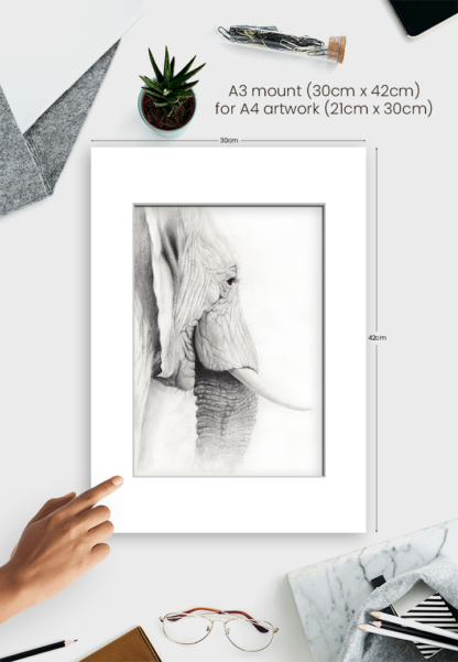 WISDOM - Image 4