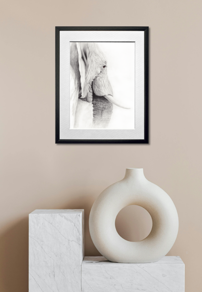 WISDOM - Image 6