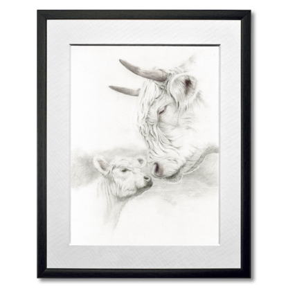 graphite drawing of highland cow and calf