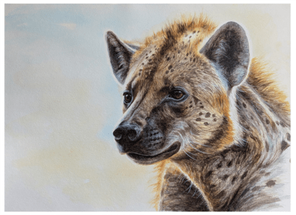 watercolor painting of spotted hyena