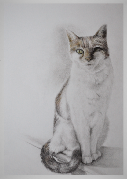 FREYA - Image 2