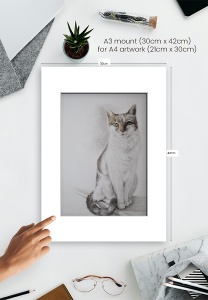 FREYA - Image 4