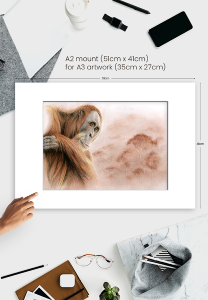 LOOKOUT - Image 3