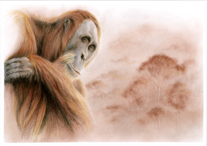 LOOKOUT - Image 2