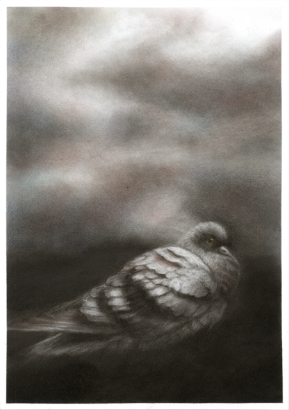STORMY DAY - Image 2