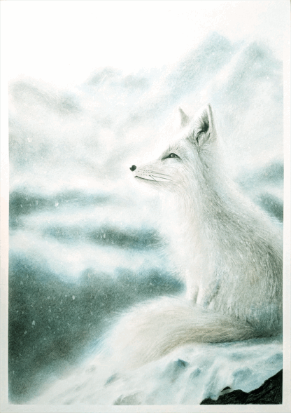 WINTER WATCH - Image 2