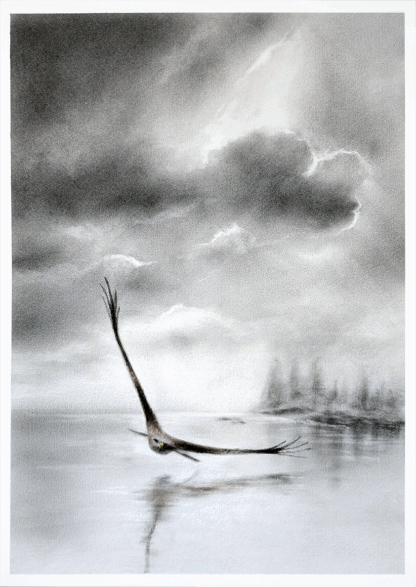 STORM LIGHT - Image 2