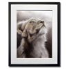 mixed media painting of lion